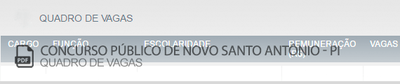Vagas Concurso Público Novo Santo Antônio (PDF)