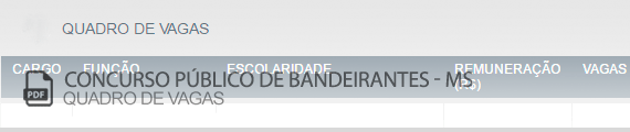 Vagas Concurso Público Bandeirantes (PDF)