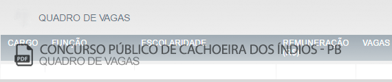 Vagas Concurso Público Cachoeira dos Índios (PDF)