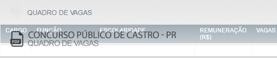 Vagas Concurso Público Castro (PDF)