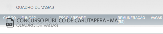 Vagas Concurso Público Carutapera (PDF)