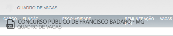Vagas Concurso Público Francisco Badaró (PDF)