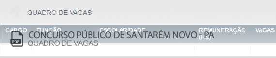 Vagas Concurso Público Santarém Novo (PDF)