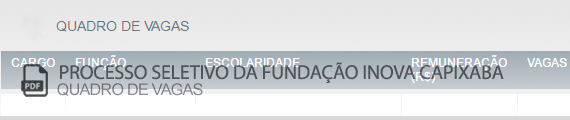 Vagas Concurso Público Fundação Inova Capixaba (PDF)