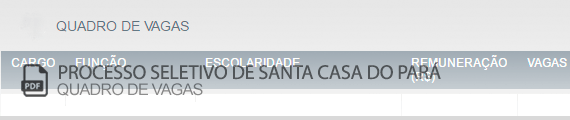 Vagas Concurso Público Fundação Santa Casa de Misericórdia do Pará (PDF)