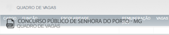 Vagas Concurso Público Senhora do Porto (PDF)