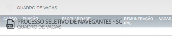Vagas Concurso Público Navegantes (PDF)