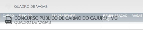 Vagas Concurso Público Carmo do Cajuru (PDF)