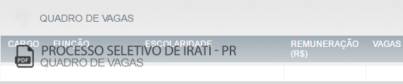 Vagas Concurso Público da Irati (PDF)