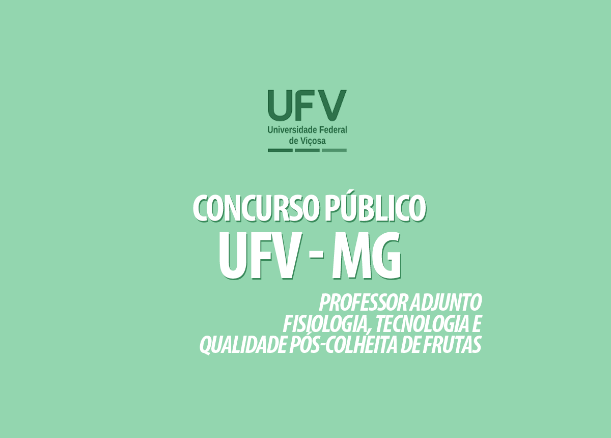 Concurso Público UFV - MG Edital 003/2021