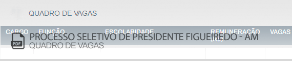 Vagas Concurso Público Presidente Figueiredo (PDF)