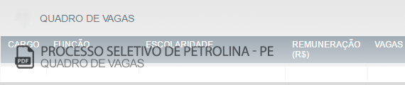 Vagas Concurso Público Petrolina (PDF)