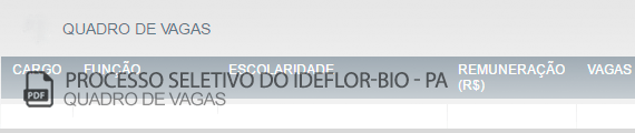 Vagas Concurso Público da Copel (PDF)