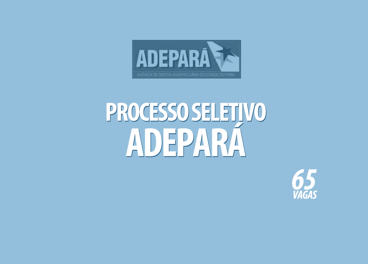 Processo Seletivo Adepará Edital 001/2021