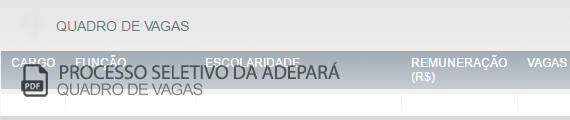 Vagas Concurso Público ADEPARÁ (PDF)