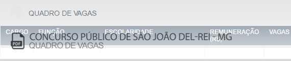 Vagas Concurso Público São João del-Rei (PDF)