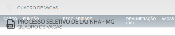 Vagas Concurso Público Lajinha (PDF)