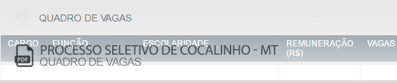 Vagas Concurso Público Cocalinho (PDF)