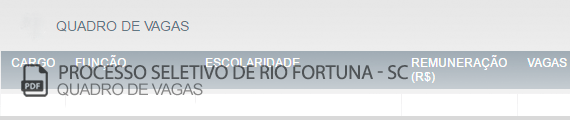 Vagas Concurso Público Rio Fortuna (PDF)