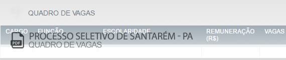 Vagas Concurso Público Santarém (PDF)