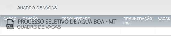 Vagas Concurso Público Toledo (PDF)