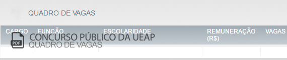 Vagas Concurso Público UEAP (PDF)