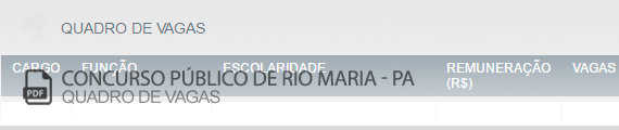 Vagas Concurso Público Prefeitura Rio Maria (PDF)