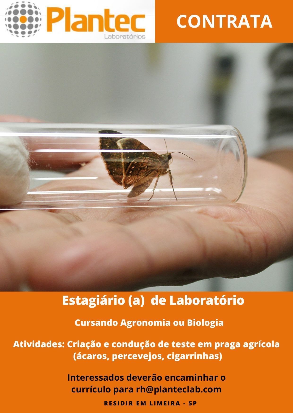 Estagiário(a) de laboratório (pragas agrícolas) – Limeira/SP