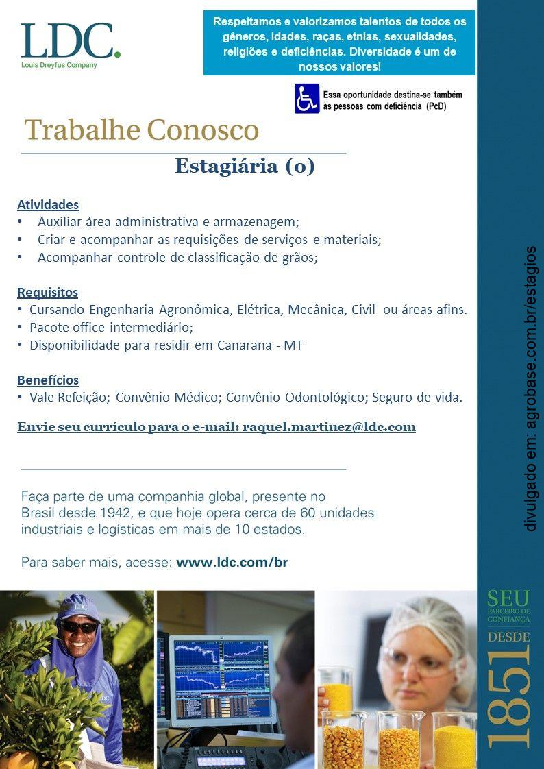 Estagiário agronegócio – Canarana/MT