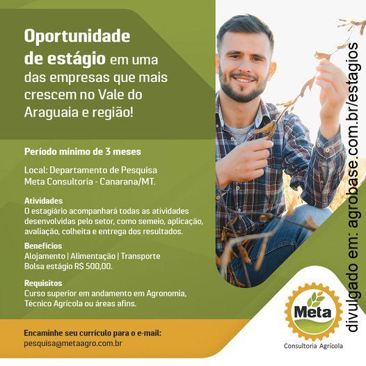 10 vagas estágio consultoria agrícola – Canarana/MT