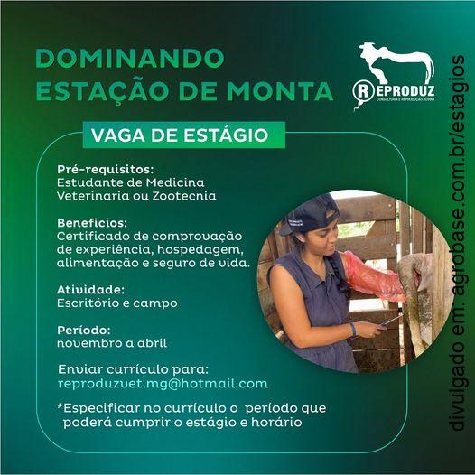 Estágio estação de monta – MG