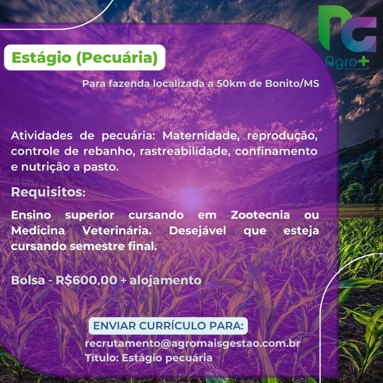Estágio pecuária – região de Bonito/MS