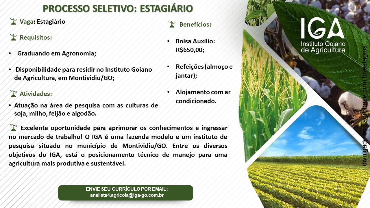 Estágio em agronomia – Montividiu/GO