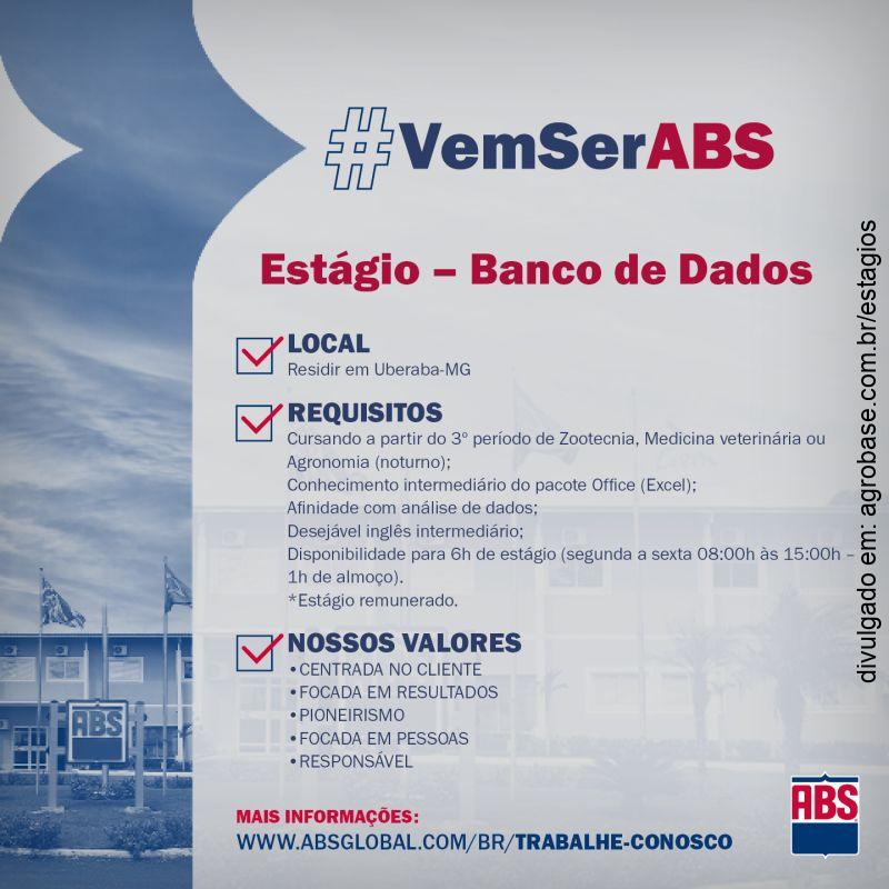 Estágio banco de dados – Uberaba/MG