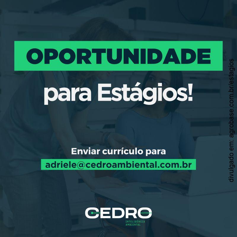 Estágio em biologia, eng. florestal ou eng. ambiental – Timbó/SC