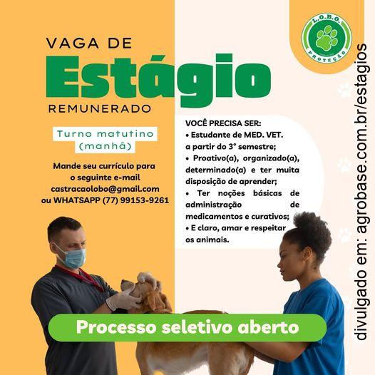 Vaga estágio remunerado – Barreiras/BA