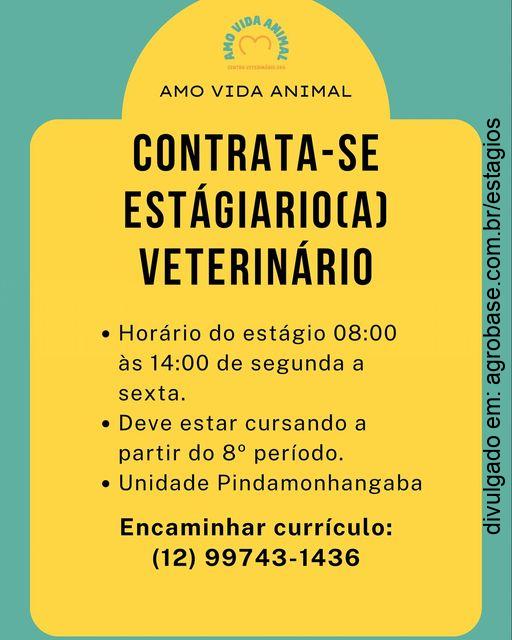 Estágio para estudantes de veterinária – Pindamonhangaba/SP