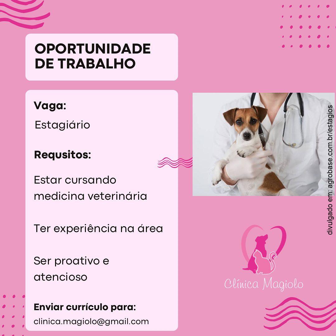 Estágio em medicina veterinária – Mogi Mirim/SP
