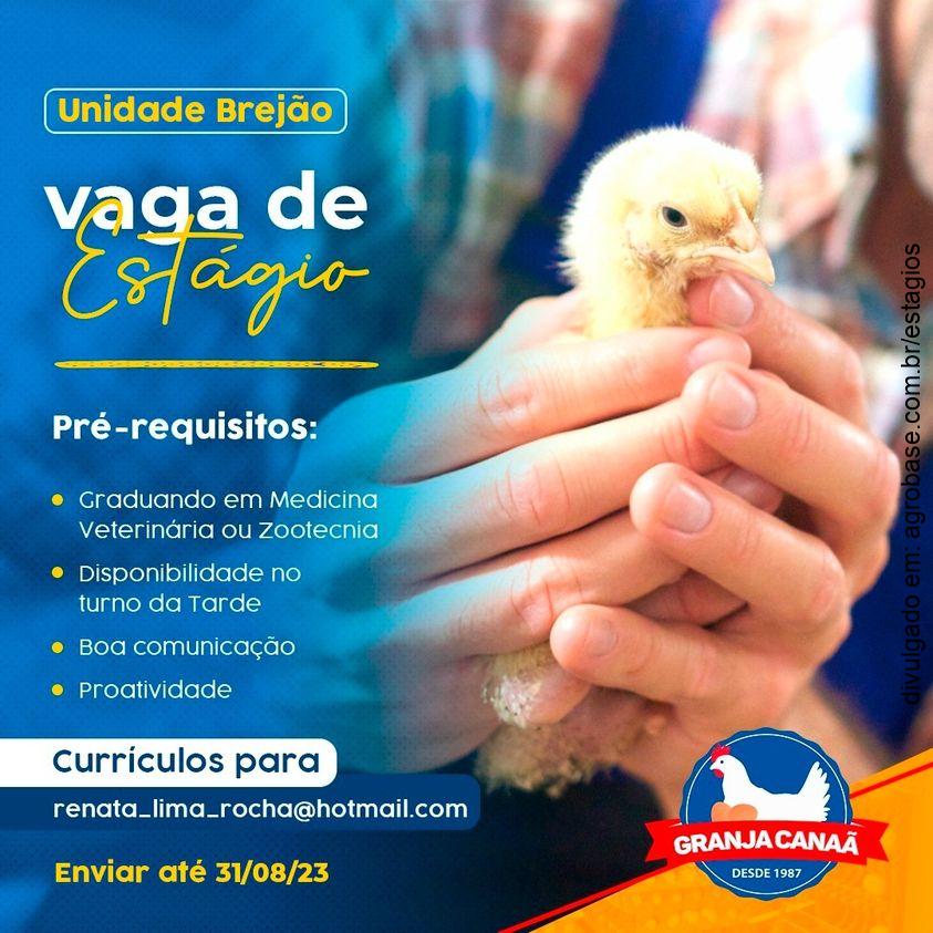 Estágio em granja de aves – Garanhuns/PE