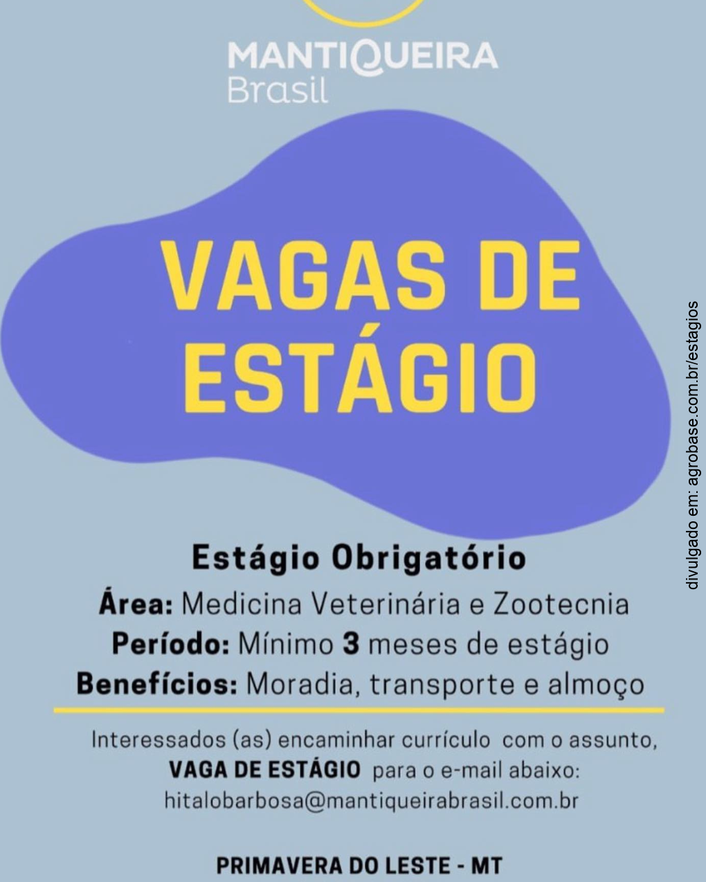 Estágio em avicultura – Primavera do Leste/MT