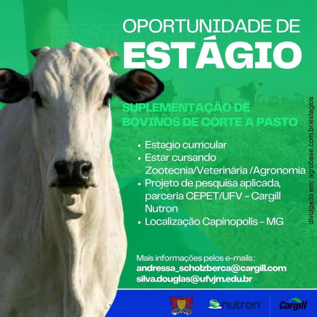 Estágio em suplementação de bovinos de corte a pasto – Capinopolis/MG