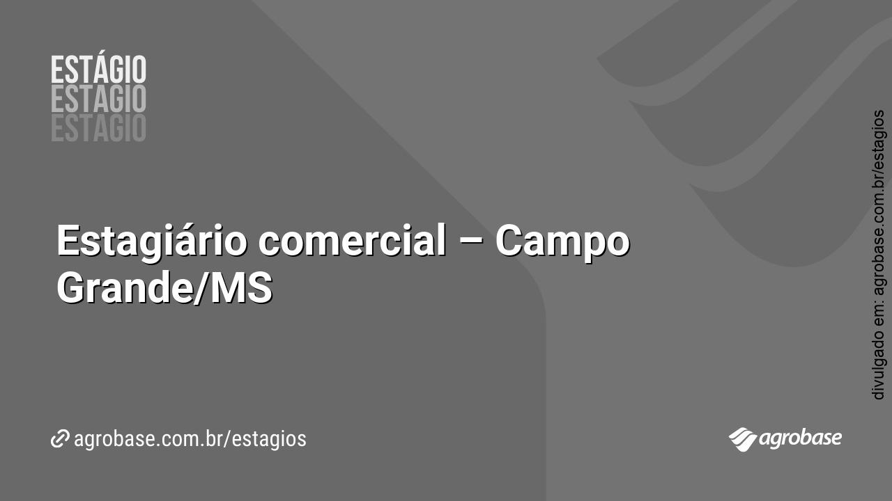 Estagiário comercial – Campo Grande/MS