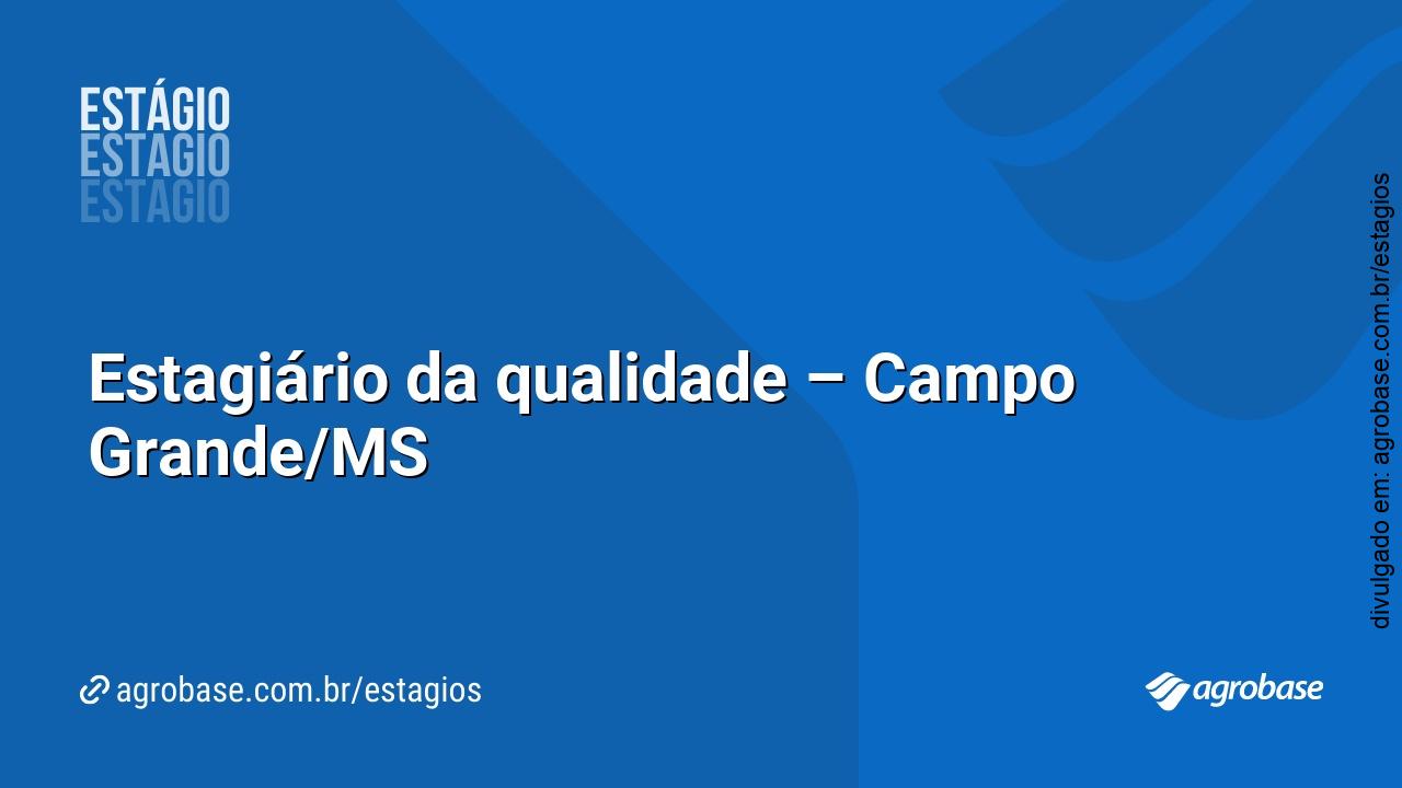 Estagiário da qualidade – Campo Grande/MS