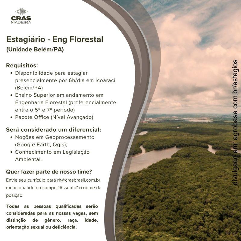 Estagiário engenharia florestal – Belém/PA