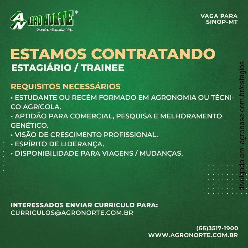 Estagiário | trainee – MT