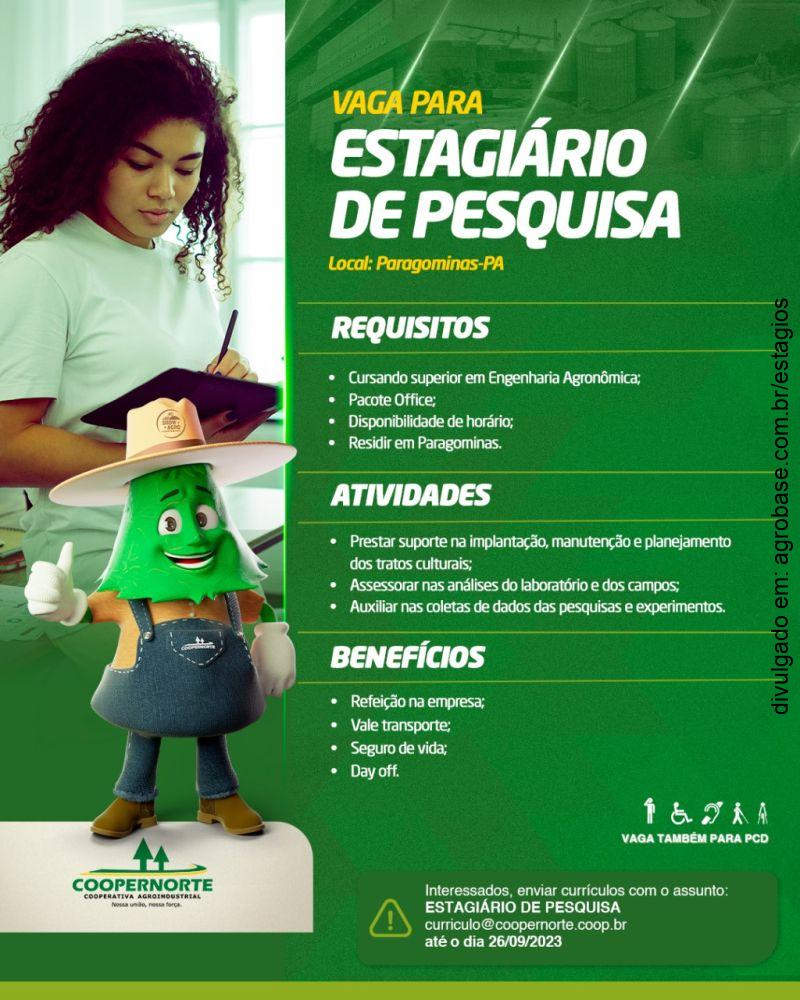 Estagiário de pesquisa – Paragominas/PA