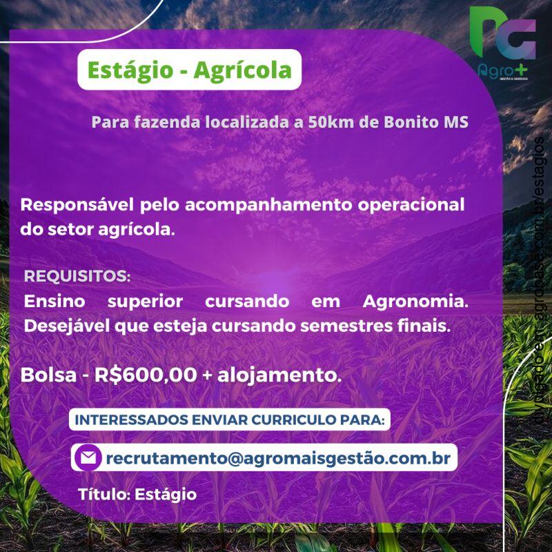 Estágio agrícola – Bonito/MS