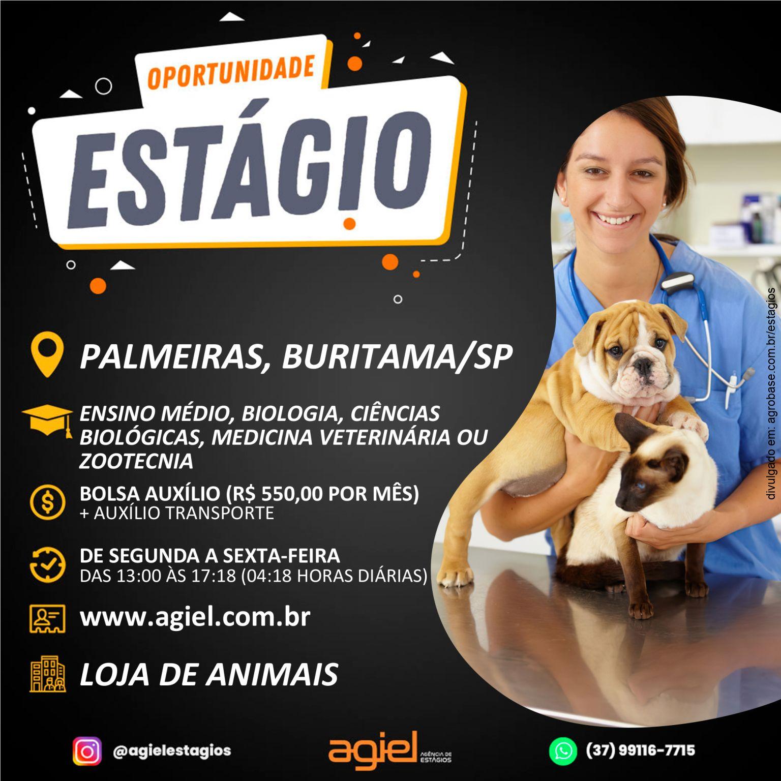 Estágio em loja de animais – Buritama/SP