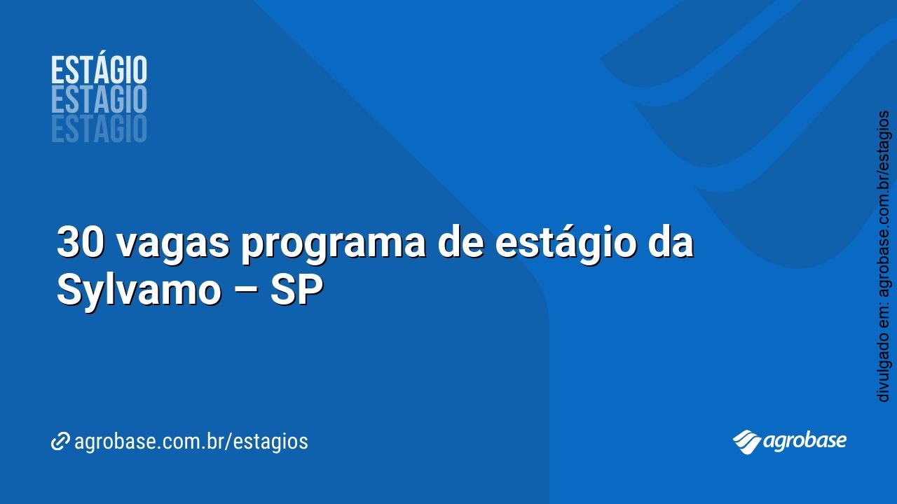 30 vagas programa de estágio da Sylvamo – SP