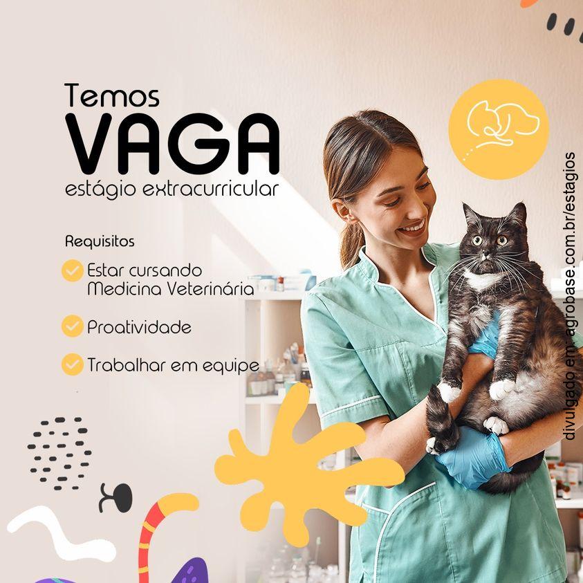 Estágio extracurricular em med. veterinário – Foz da Iguaçu/PR